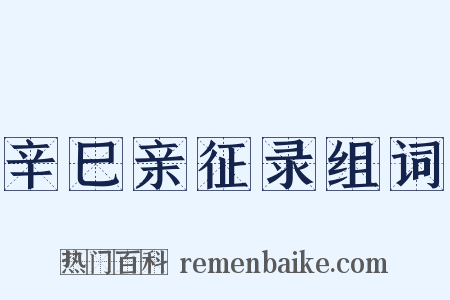 辛巳亲征录组词是什么意思的图片